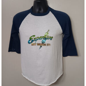 Vintage 80s The Knits Adult Medium Raglan T-Shirt Single Stitch USA Distressed